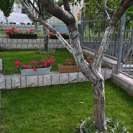 Blaz Спліт